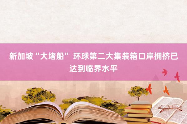 新加坡“大堵船” 环球第二大集装箱口岸拥挤已达到临界水平