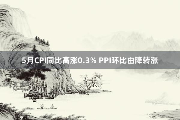 5月CPI同比高涨0.3% PPI环比由降转涨