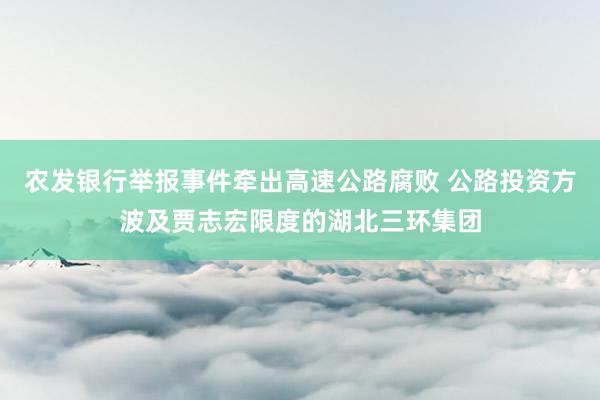 农发银行举报事件牵出高速公路腐败 公路投资方波及贾志宏限度的湖北三环集团