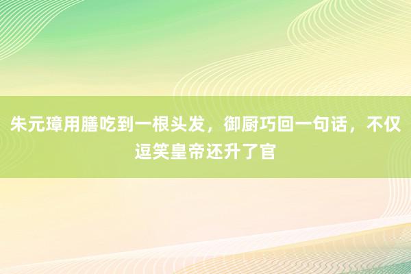 朱元璋用膳吃到一根头发，御厨巧回一句话，不仅逗笑皇帝还升了官