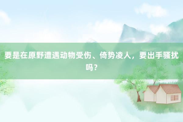 要是在原野遭遇动物受伤、倚势凌人，要出手骚扰吗？