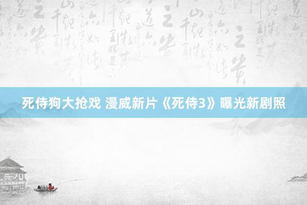 死侍狗大抢戏 漫威新片《死侍3》曝光新剧照