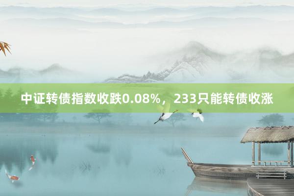 中证转债指数收跌0.08%，233只能转债收涨