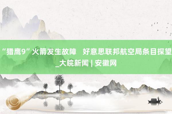 “猎鹰9”火箭发生故障   好意思联邦航空局条目探望_大皖新闻 | 安徽网