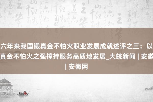 六年来我国锻真金不怕火职业发展成就述评之三：以锻真金不怕火之强撑持服务高质地发展_大皖新闻 | 安徽网