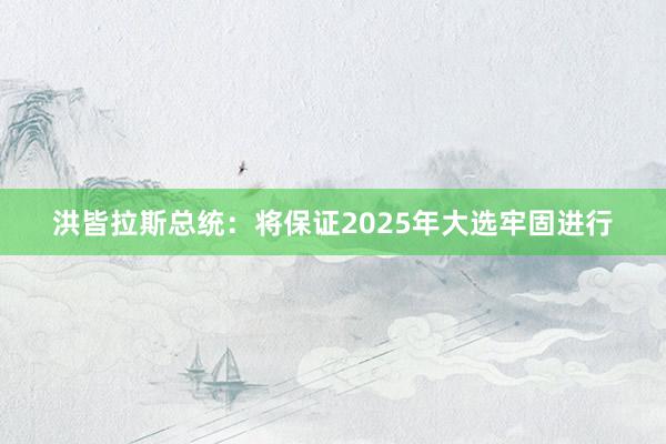 洪皆拉斯总统：将保证2025年大选牢固进行