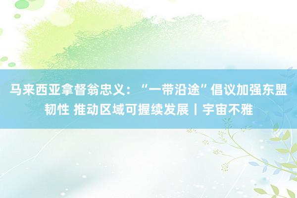 马来西亚拿督翁忠义：“一带沿途”倡议加强东盟韧性 推动区域可握续发展丨宇宙不雅